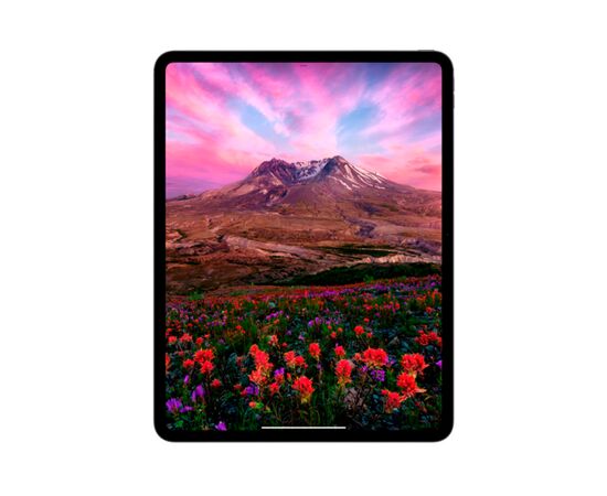  Планшет APPLE iPad Pro 13 MVX83LL/A 2TB Wifi Space Black 