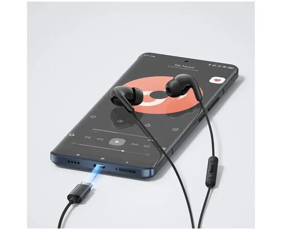  Наушники Xiaomi M2413E1 Type-C Earphones Black (BHR8930GL) 