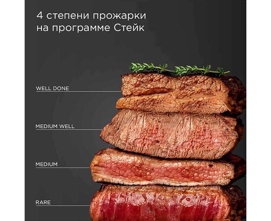  Гриль Redmond SteakMaster GM303 бронзовый 