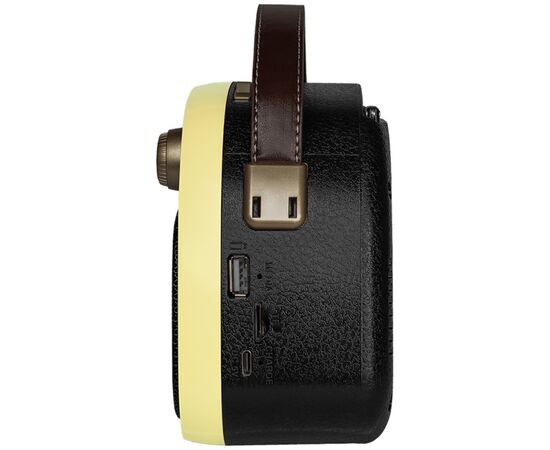  Радиоприемник RITMIX RPR-040 Lemon 